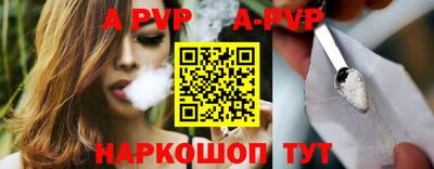 гашик Кингисепп