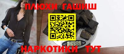 гашик Кингисепп