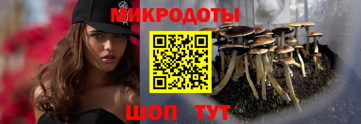 Королёв  Псилоцибиновые грибы GOLDEN TEACHER  Псилоцибиновые грибы Cubensis  Вход с VPN 